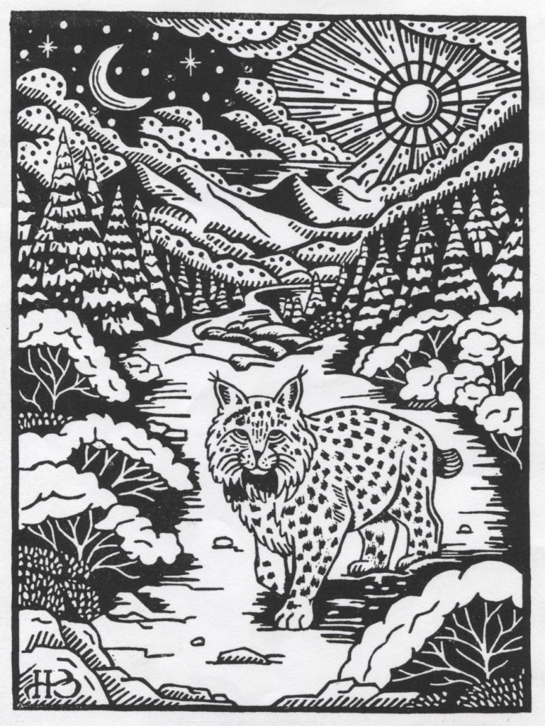 Sous le Murmure des Astres